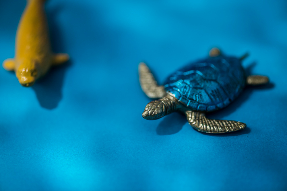 how many eggs do sea turtles lay