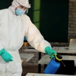 Birmingham Pest Control: A Complete Guide to Protecting Your Home and Business