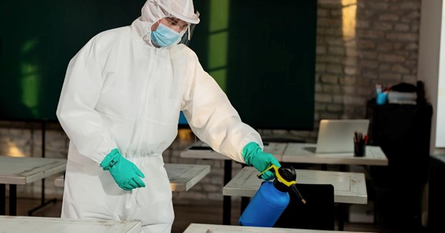 Birmingham Pest Control: A Complete Guide to Protecting Your Home and Business